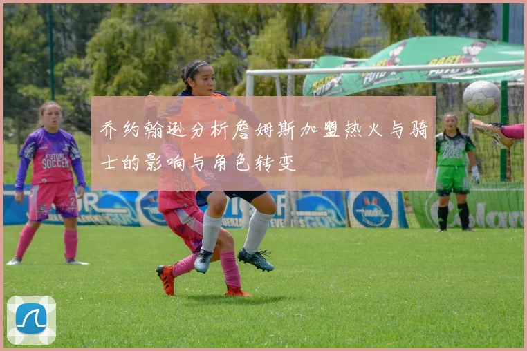 乔约翰逊分析詹姆斯加盟热火与骑士的影响与角色转变