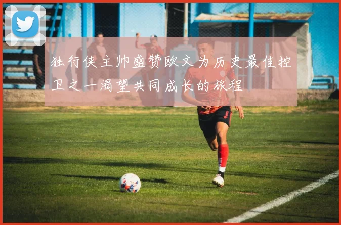 独行侠主帅盛赞欧文为历史最佳控卫之一渴望共同成长的旅程